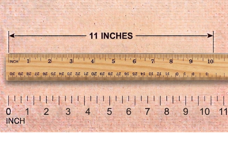 How Long is 11 Inches