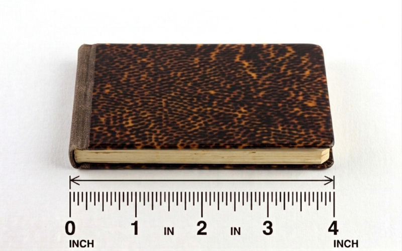 How Long is 4 Inches