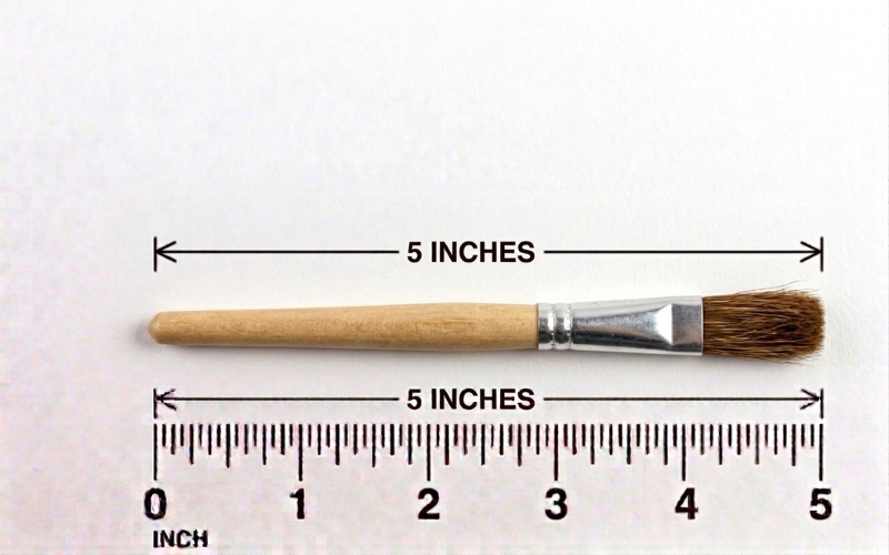 How Long is 5 Inches