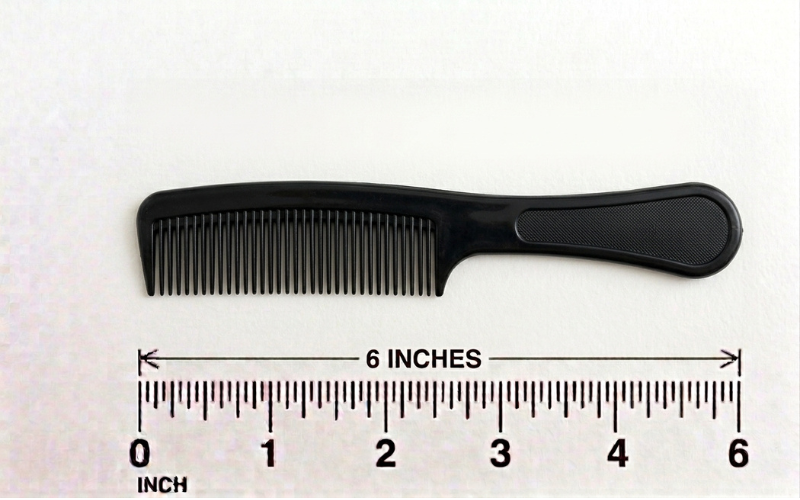 How Long is 6 Inches