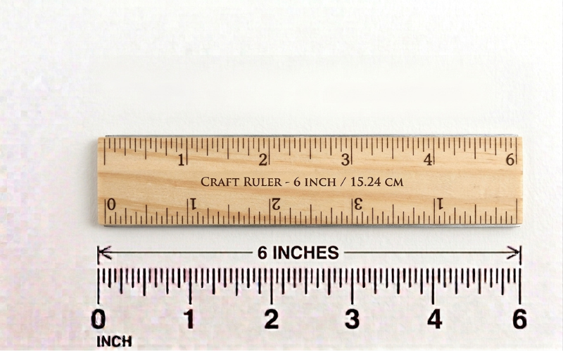How Long is 6 Inches