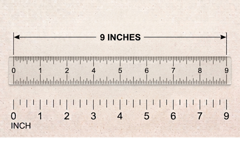 How Long is 9 Inches