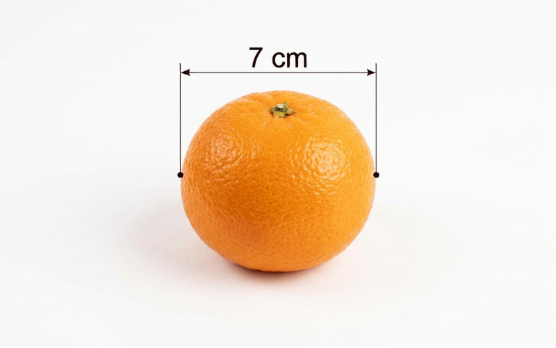 How Big is 7 cm